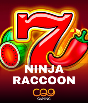 Ninja raccoon